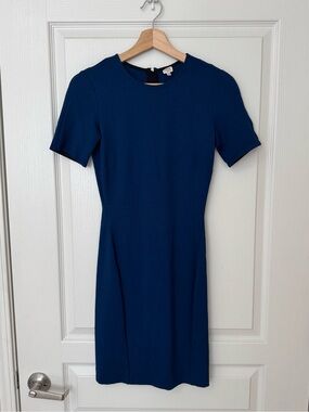 Aritzia Wilfred Mignonne Dress